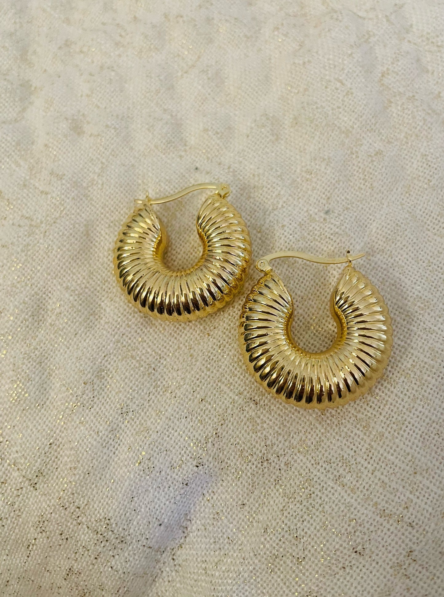 Caracoles Earrings