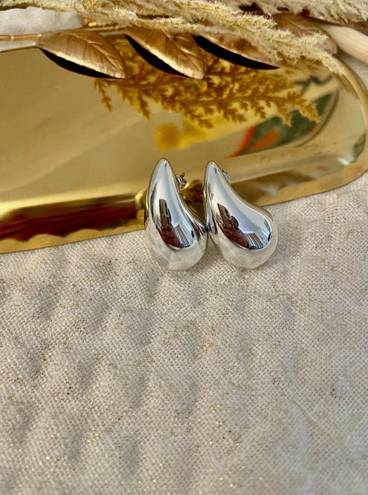 Drop Silver Earrings